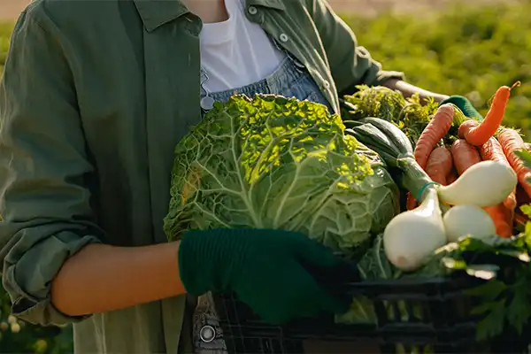 Bäuerin mit frischem Gemüse Bäuerin mit frischem Gemüse